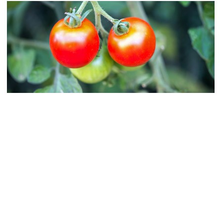 Download free bootstrap 4 landing page, free boootstrap 4 templates, Download free bootstrap 4.1 landing page, free boootstrap 4.1.1 templates, meyawo Landing page